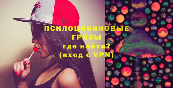 ГАЛЛЮЦИНОГЕННЫЕ ГРИБЫ Беломорск