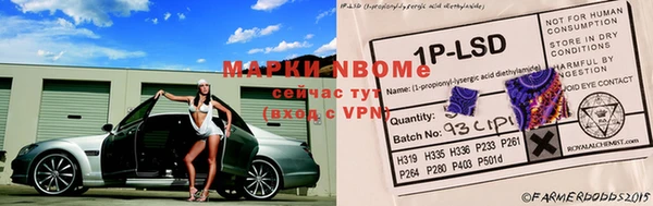 ГАЛЛЮЦИНОГЕННЫЕ ГРИБЫ Беломорск